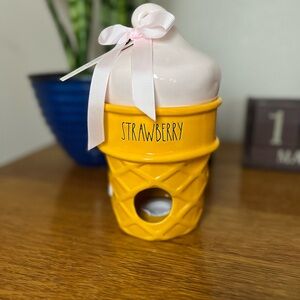 Strawberry Icecream cone Birdhouse